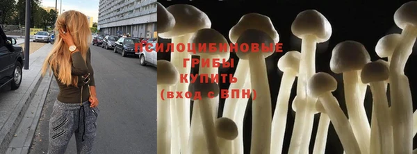apvp Касимов