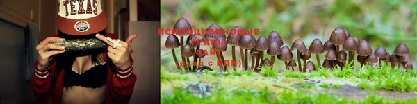 MDMA Premium VHQ Кинешма