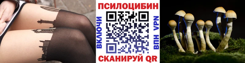наркота  Ессентукская  ссылка на мегу сайт  Псилоцибиновые грибы ЛСД 